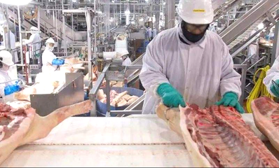 全球最大肉类加工商之一!年营收2800亿,将大幅下调产品价格